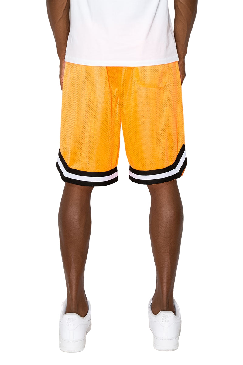 Air Mesh Basketball shorts