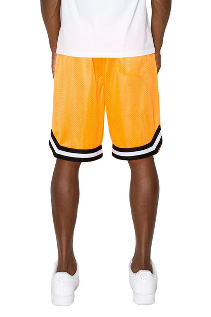 Air Mesh Basketball shorts