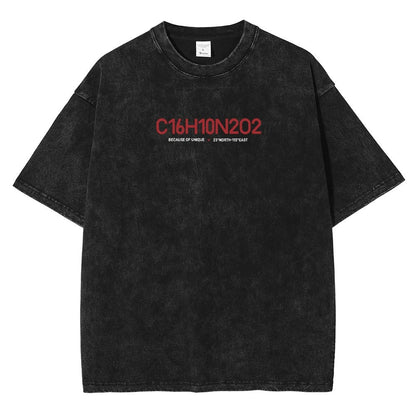 2024Men's DTG Printed T-shirt Vintage Washed Cotton Tees Hip