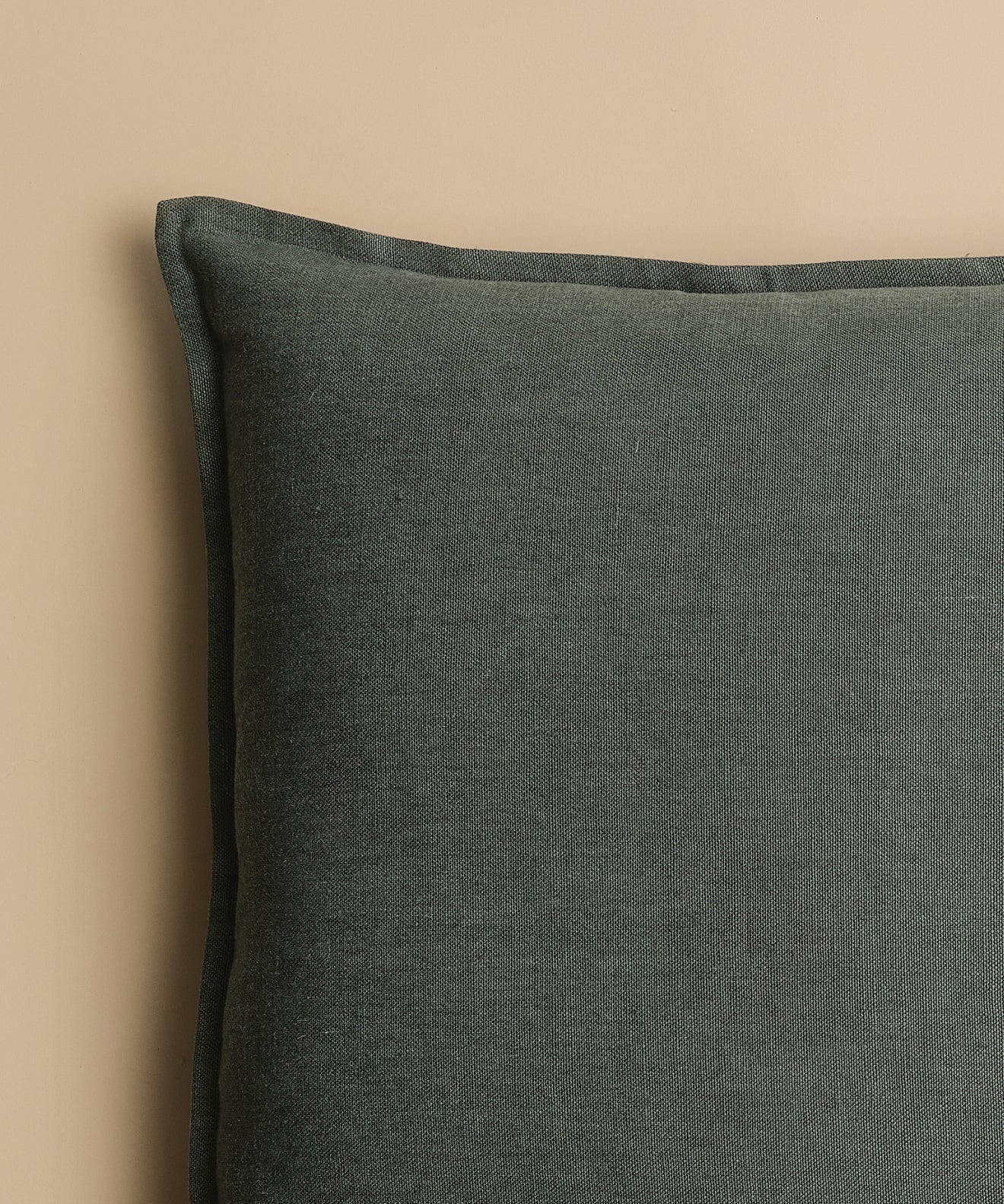 Adler Pillow