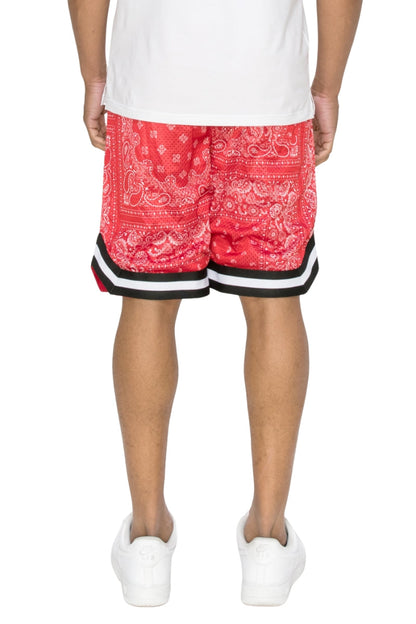 Air Mesh Basketball shorts