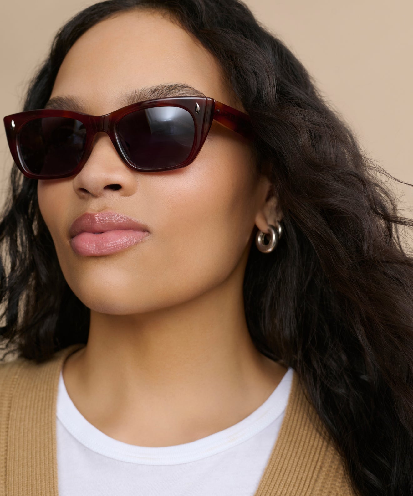 Webster Sunglasses